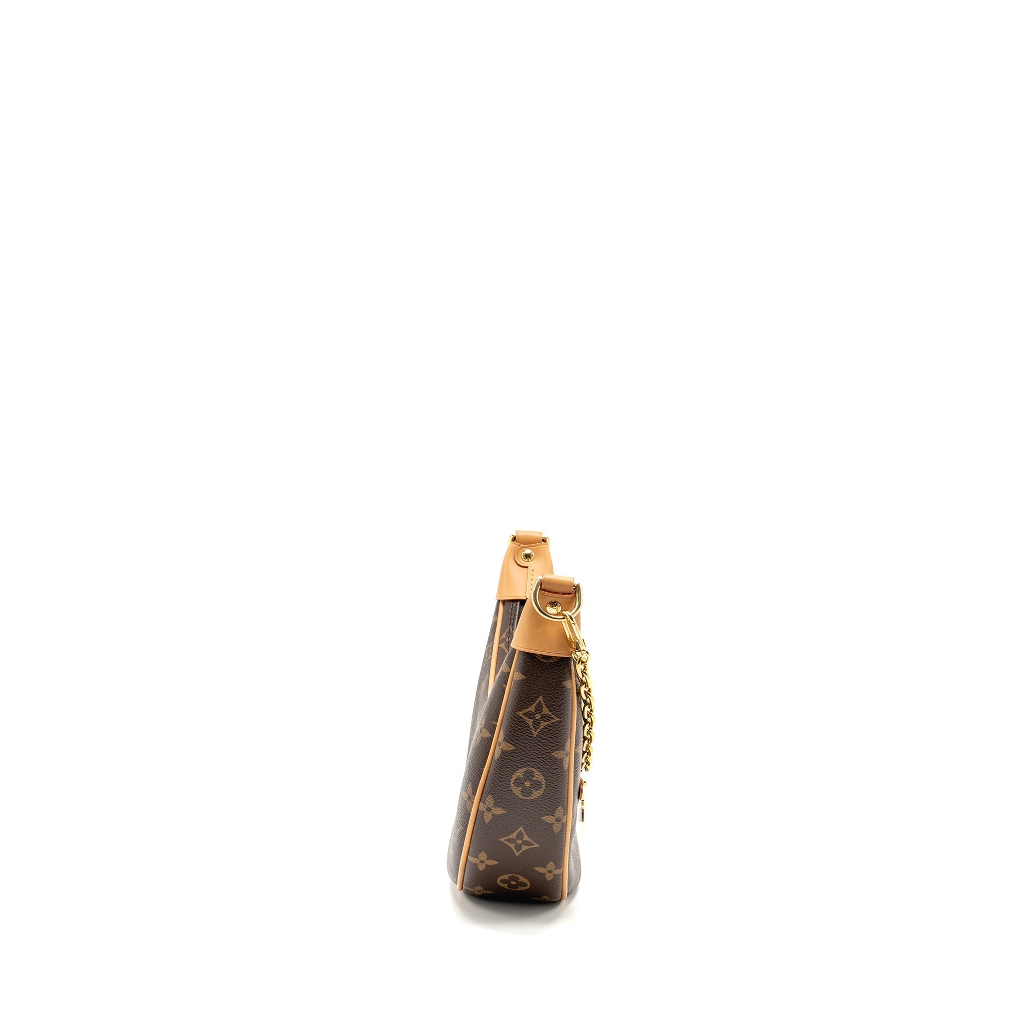 LOUIS VUITTON HALF-MOON LOOP BAGUETTE MONOGRAM CANVAS GHW