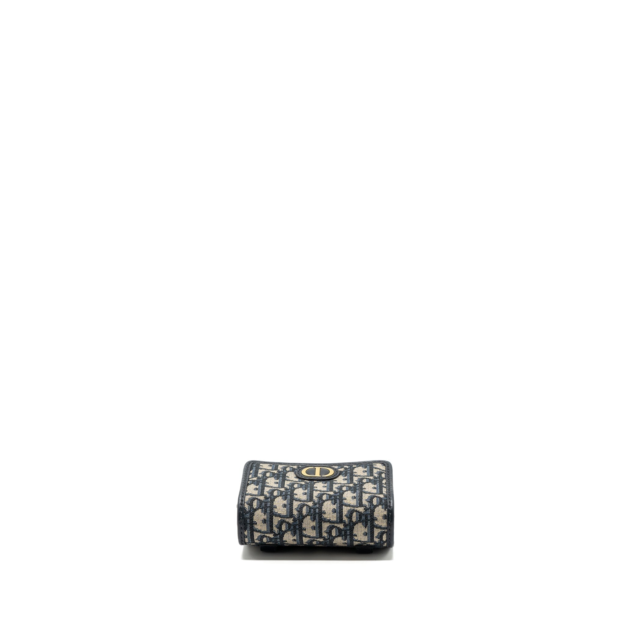 DIOR 30 MONTAIGNE POUCH WITH CHAIN CANVAS BLUE OBLIQUE GHW