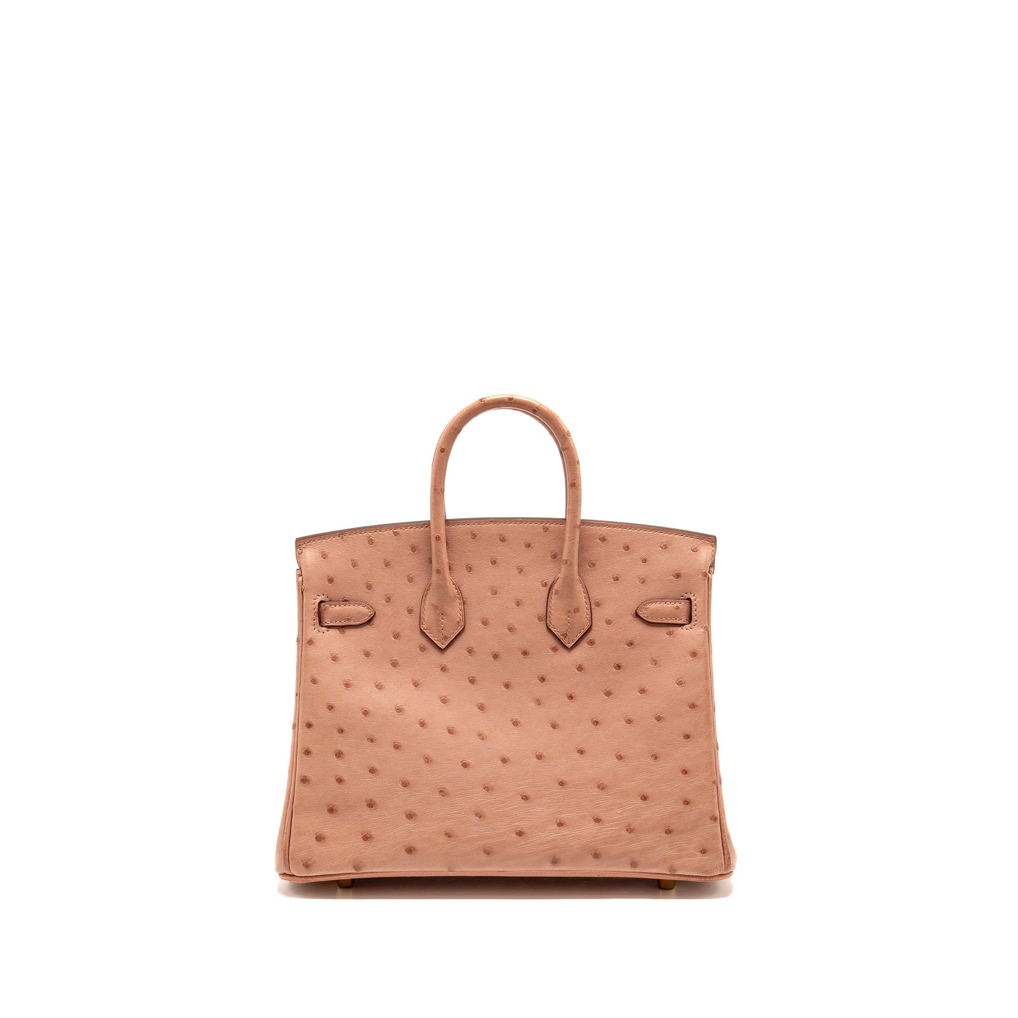 HERMES BIRKIN 25 OSTRICH 94 TERRE CUTIE GHW