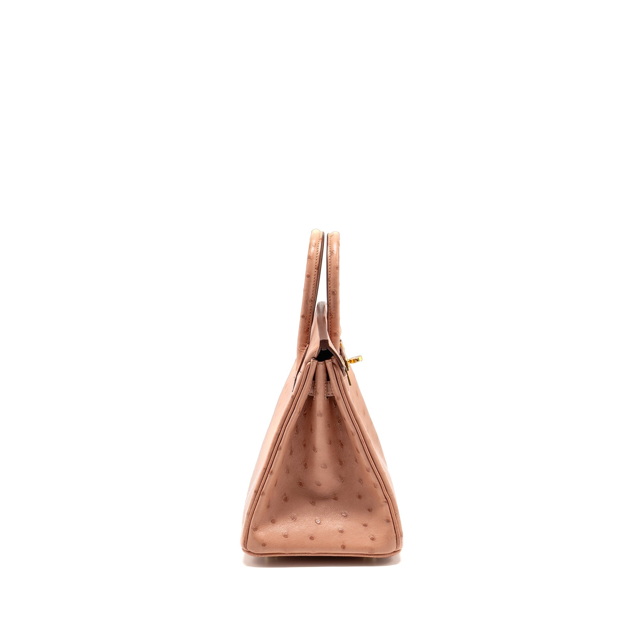 HERMES BIRKIN 25 OSTRICH 94 TERRE CUTIE GHW