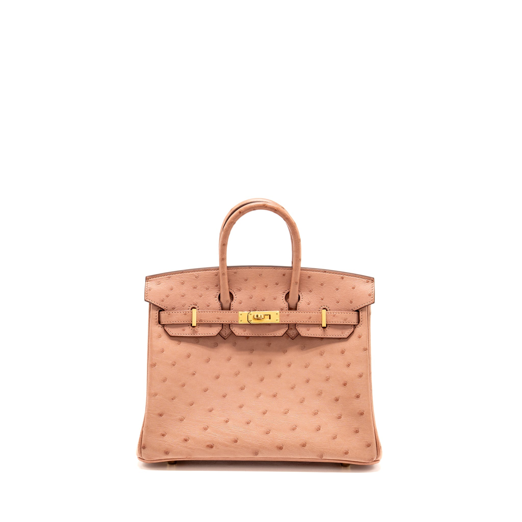 HERMES BIRKIN 25 OSTRICH 94 TERRE CUTIE GHW