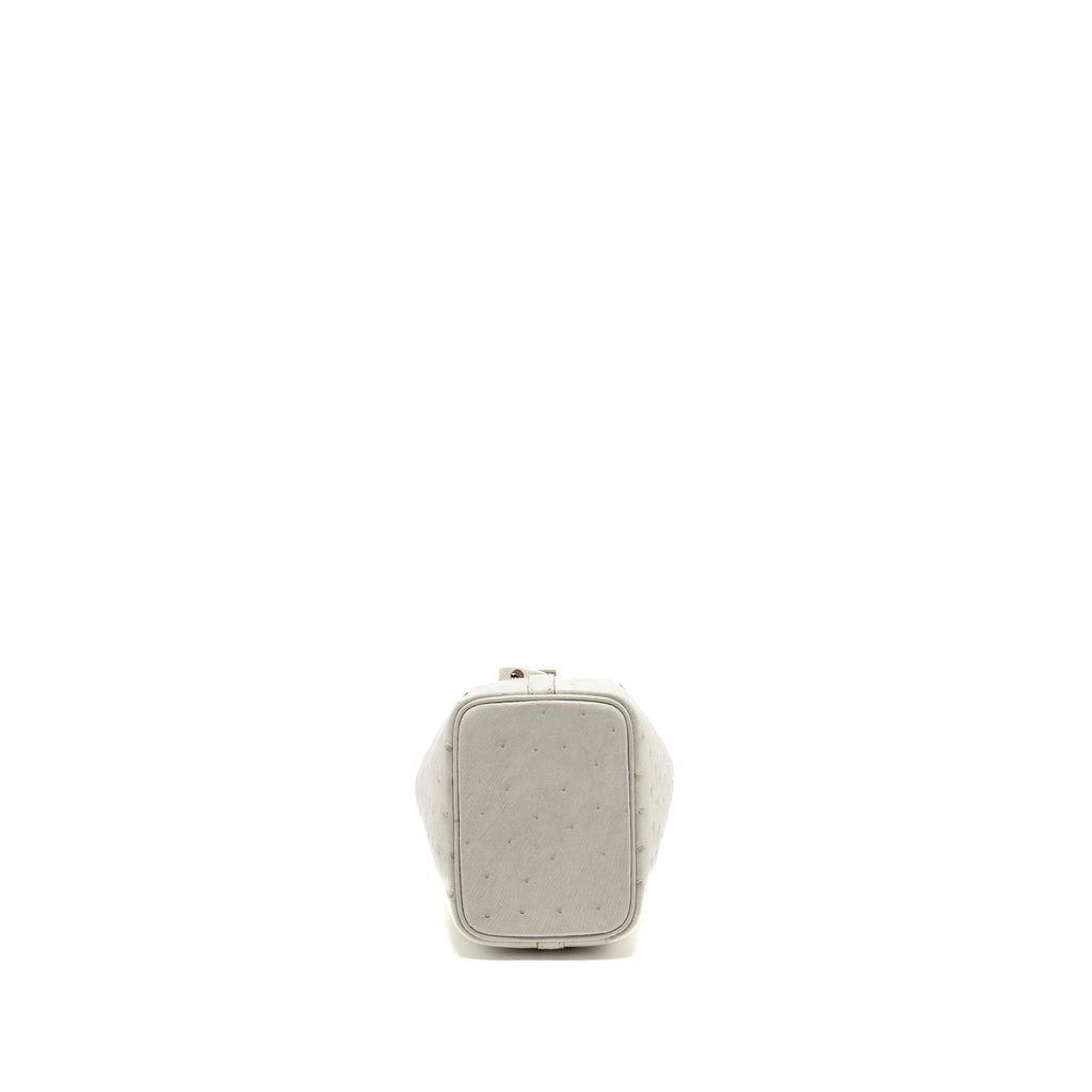 HERMES MICRO PICOTIN 14 LOCK BAG OSTRICH GRIS PERLE SHW