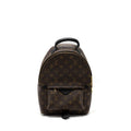 LOUIS VUITTON PALM SPRING BACKPACK PM MONOGRAM CANVAS GHW