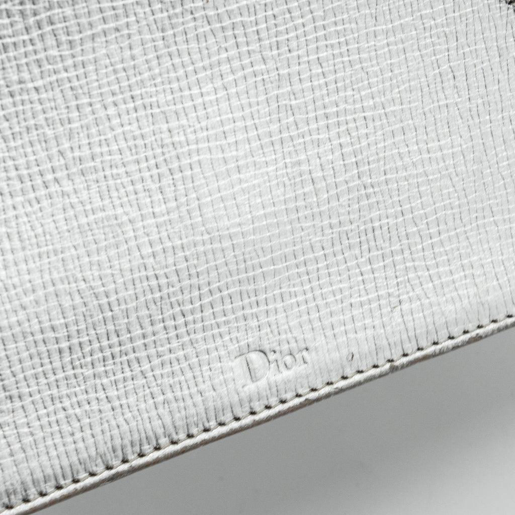 DIOR DIORAMA BAG GOATSKIN METALLIC SILVER LGHW