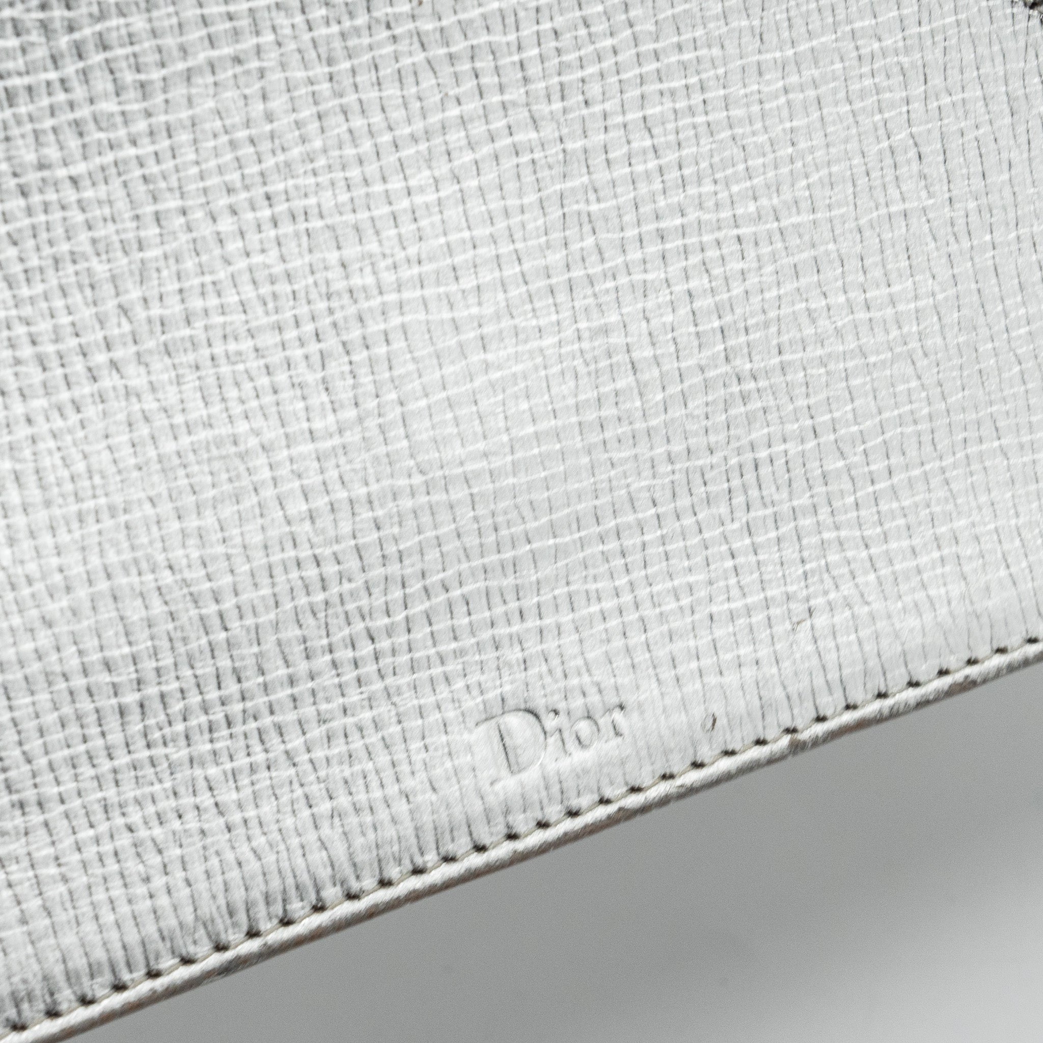 DIOR DIORAMA BAG GOATSKIN METALLIC SILVER LGHW