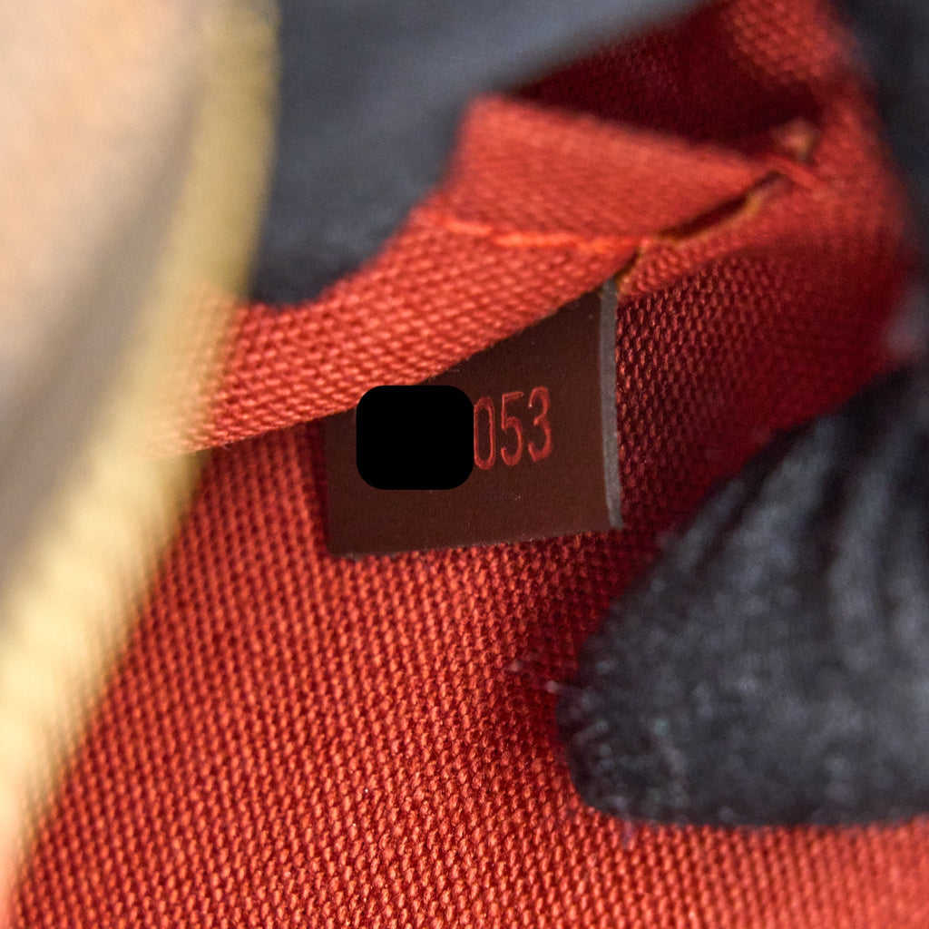 LOUIS VUITTON MINI RIBERA BAG DAMIER EBENE CANVAS GHW