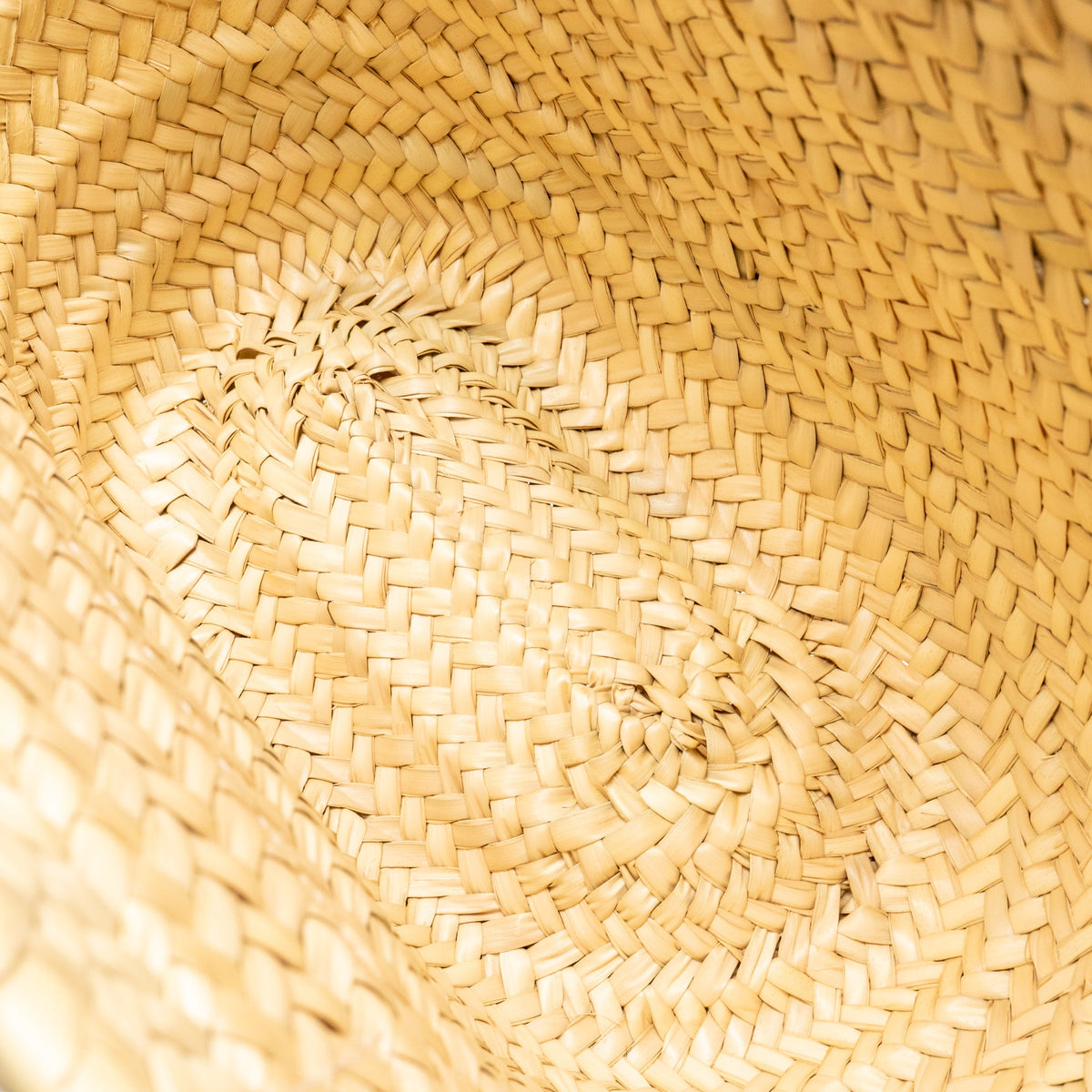 Loewe Basket Bag leather-trimmed woven raffia Palm Leaf/calfskin natural/Tan SHW