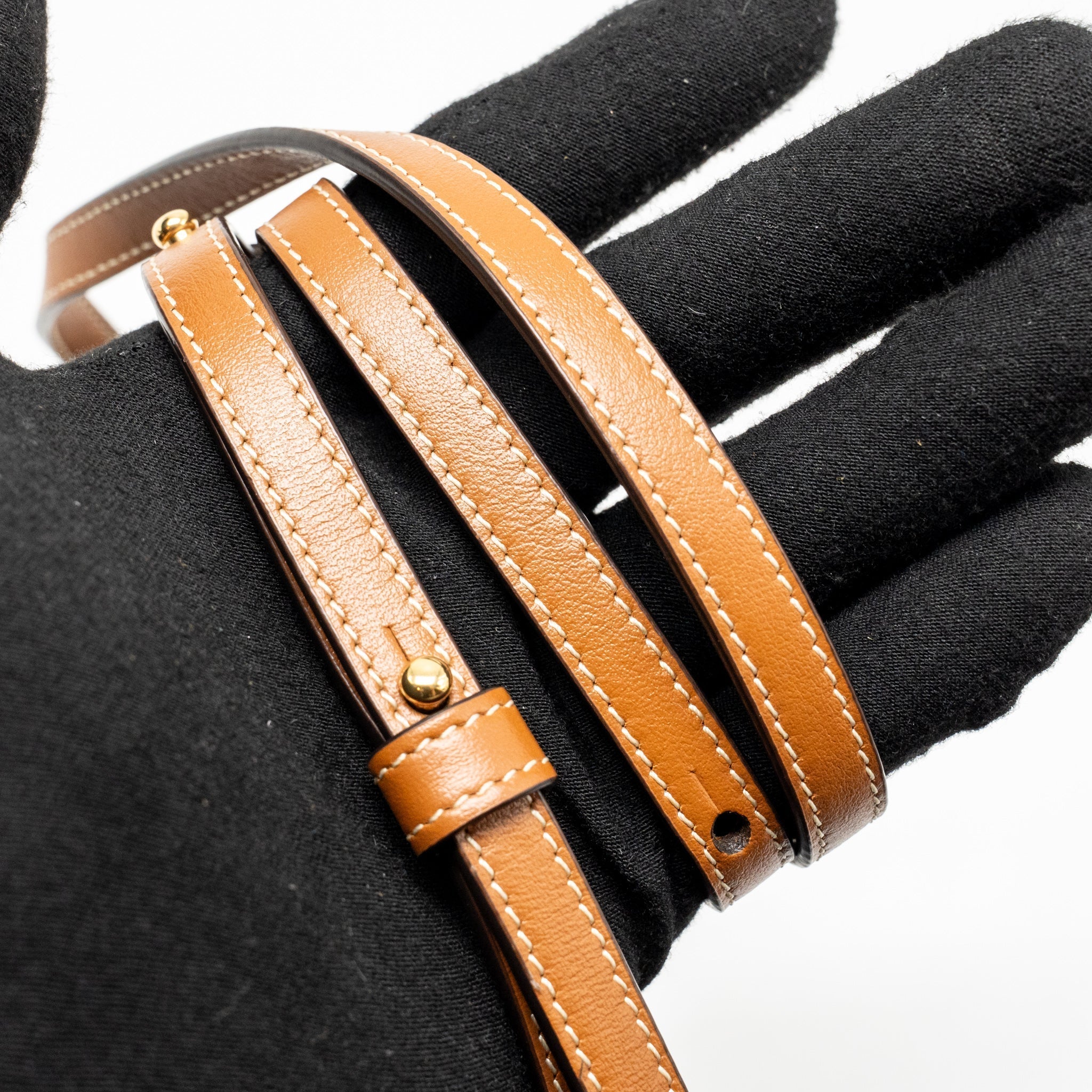 CELINE WALLET ON STRAP TRIOMPHE CANVAS / SMOOTH LAMBSKIN TAN GHW