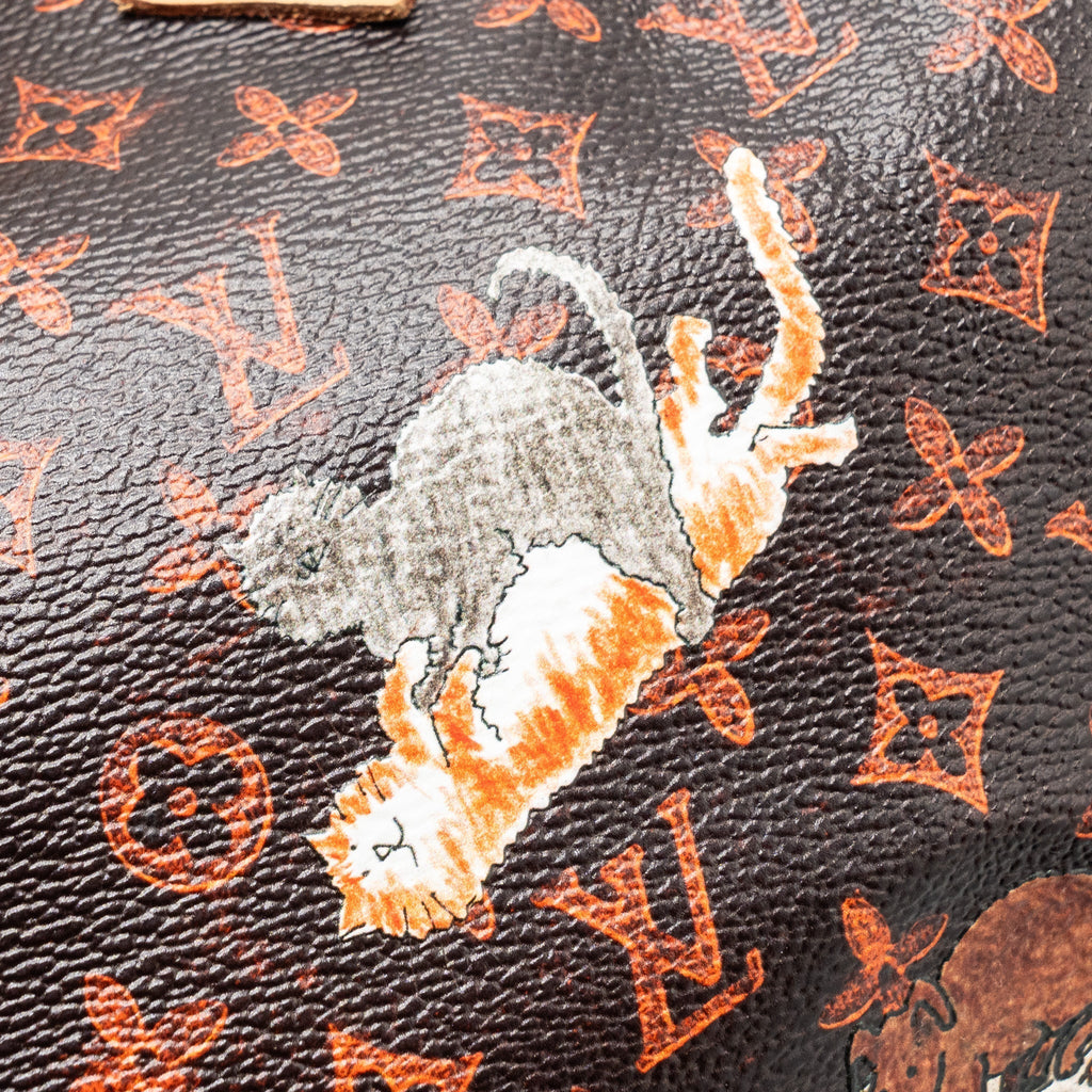 LOUIS VUITTON SPEEDY BANDOULIERE 30 CATOGRAM LIMITED EDITION CANVAS GHW