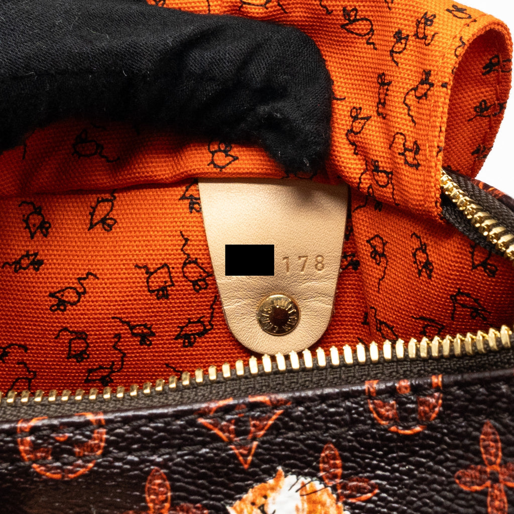LOUIS VUITTON SPEEDY BANDOULIERE 30 CATOGRAM LIMITED EDITION CANVAS GHW
