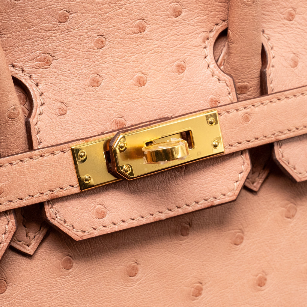 HERMES BIRKIN 25 OSTRICH 94 TERRE CUTIE GHW