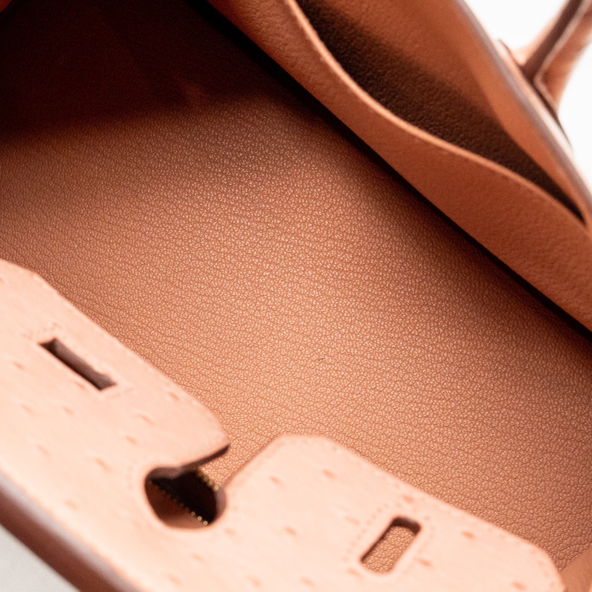 HERMES BIRKIN 25 OSTRICH 94 TERRE CUTIE GHW