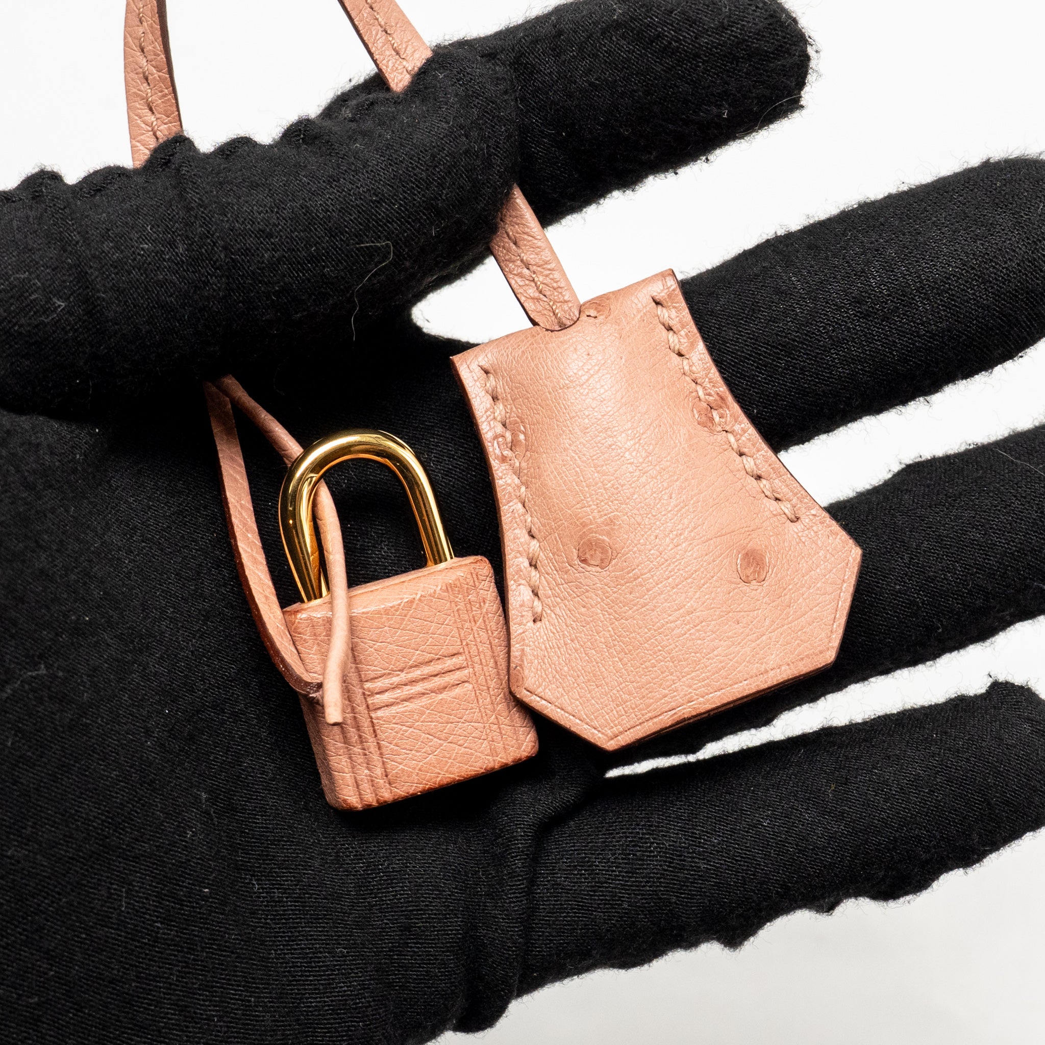 HERMES BIRKIN 25 OSTRICH 94 TERRE CUTIE GHW