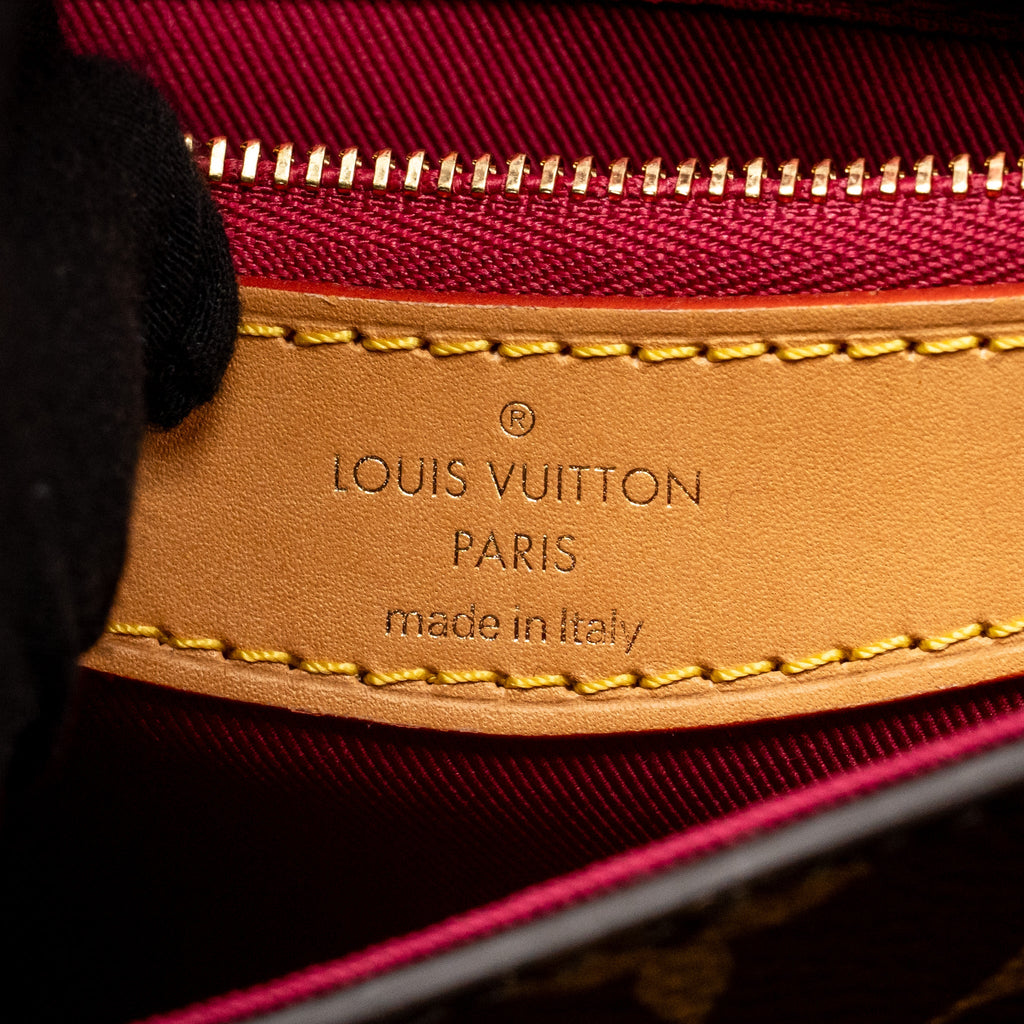 Louis Vuitton Diane bag monogram canvas pink strap GHW