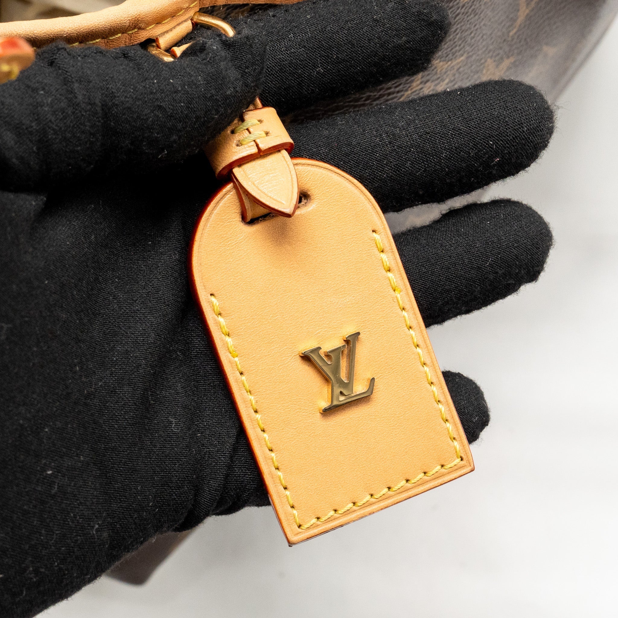 LOUIS VUITTON CARRYALL PM MONOGRAM CANVAS/LEATHER GHW