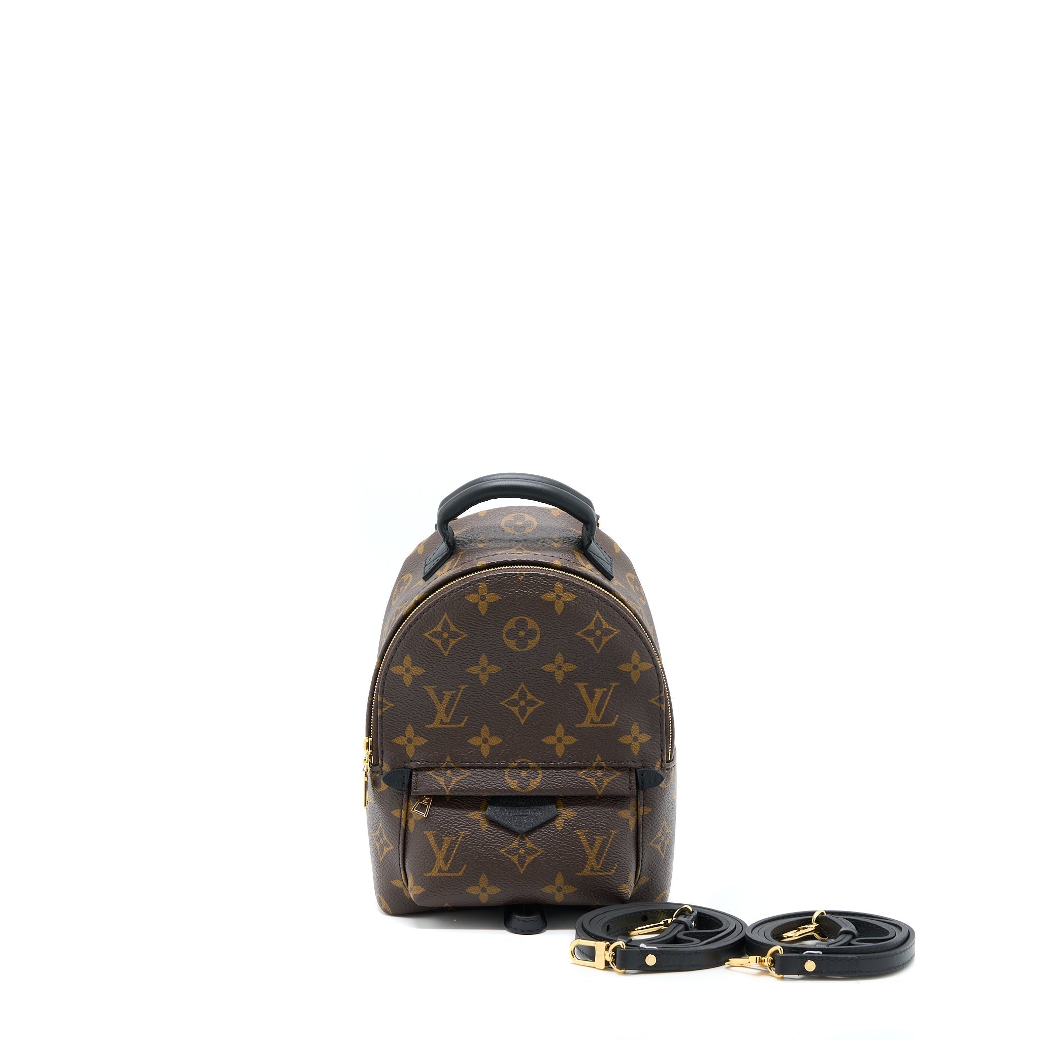 LOUIS VUITTON PALM SPRING MINI BACKPACK MONOGRAM CANVAS GHW (NEW VERSION)