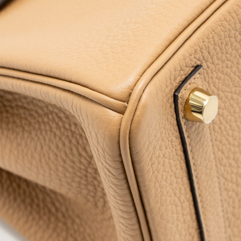 HERMES BIRKIN 25 TOUCH TOGO/ALLIGATOR MISSISSIPPIENSIS MAT CHAI LGHW