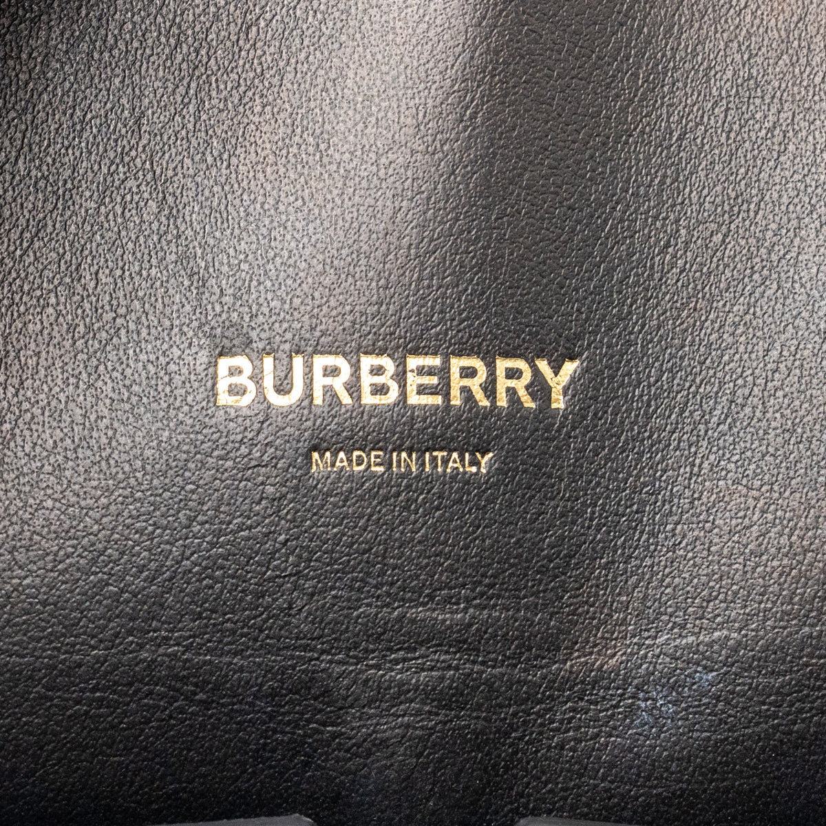 Burberry Large Society Tote Bag Monogram E-canvas Bridle Brown GHW