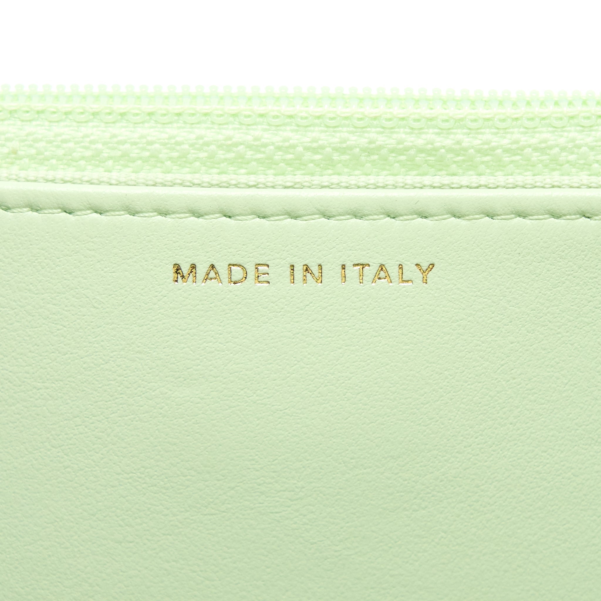 CHANEL 19 WALLET ON CHAIN LAMBSKIN LIGHT GREEN MULTICOLOUR HARDWARE (MICROCHIP)