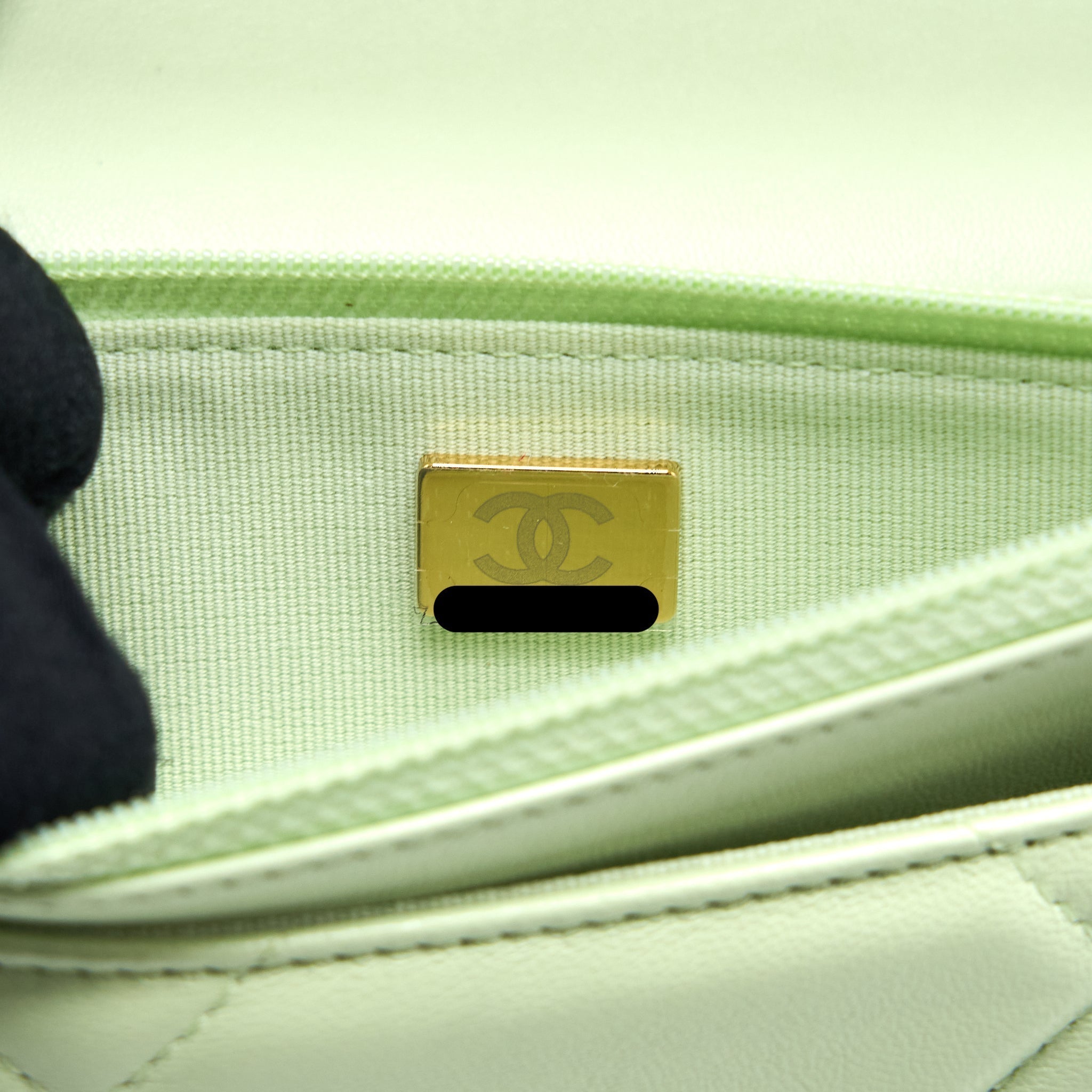 CHANEL 19 WALLET ON CHAIN LAMBSKIN LIGHT GREEN MULTICOLOUR HARDWARE (MICROCHIP)