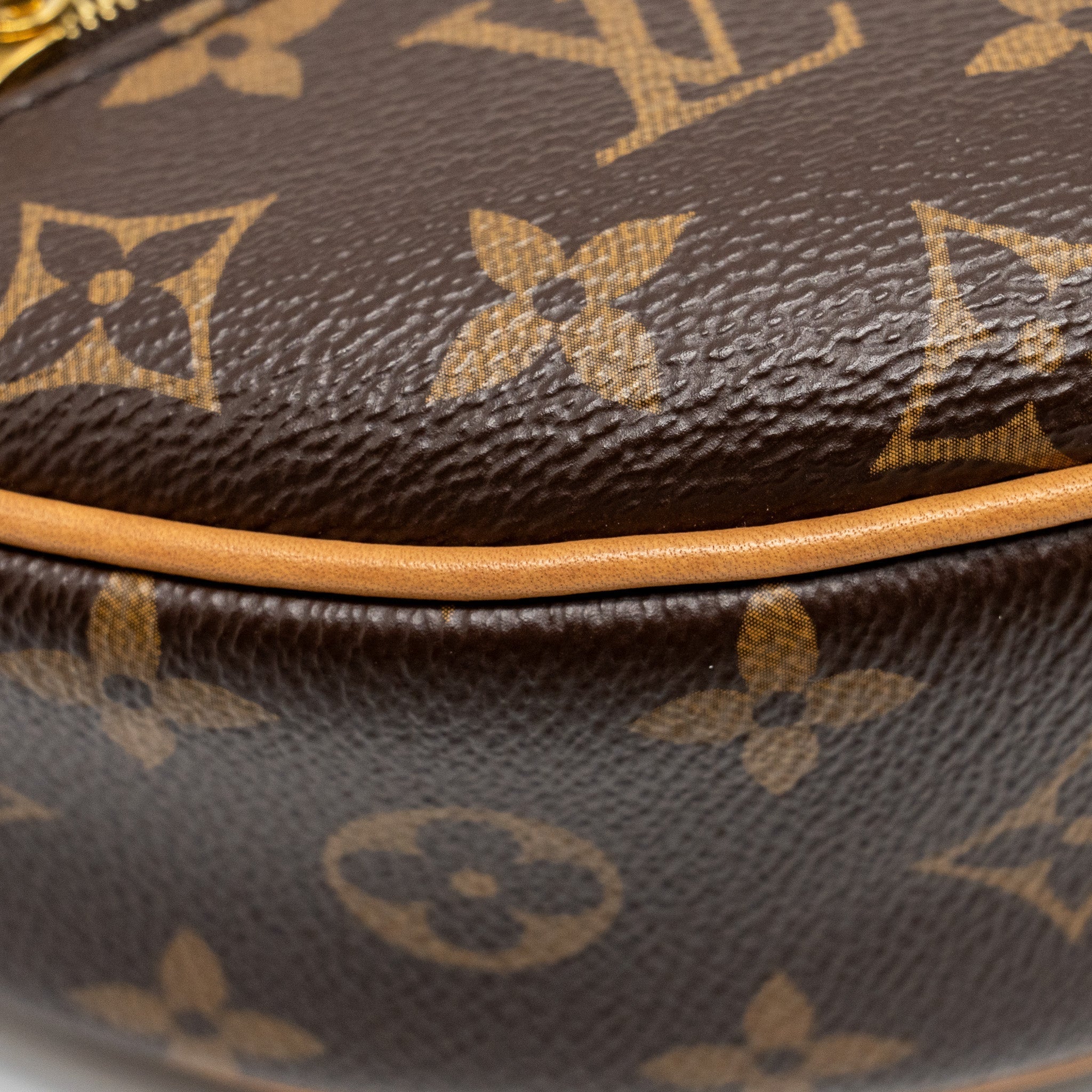 LOUIS VUITTON HALF-MOON LOOP BAG MONOGRAM CANVAS GHW