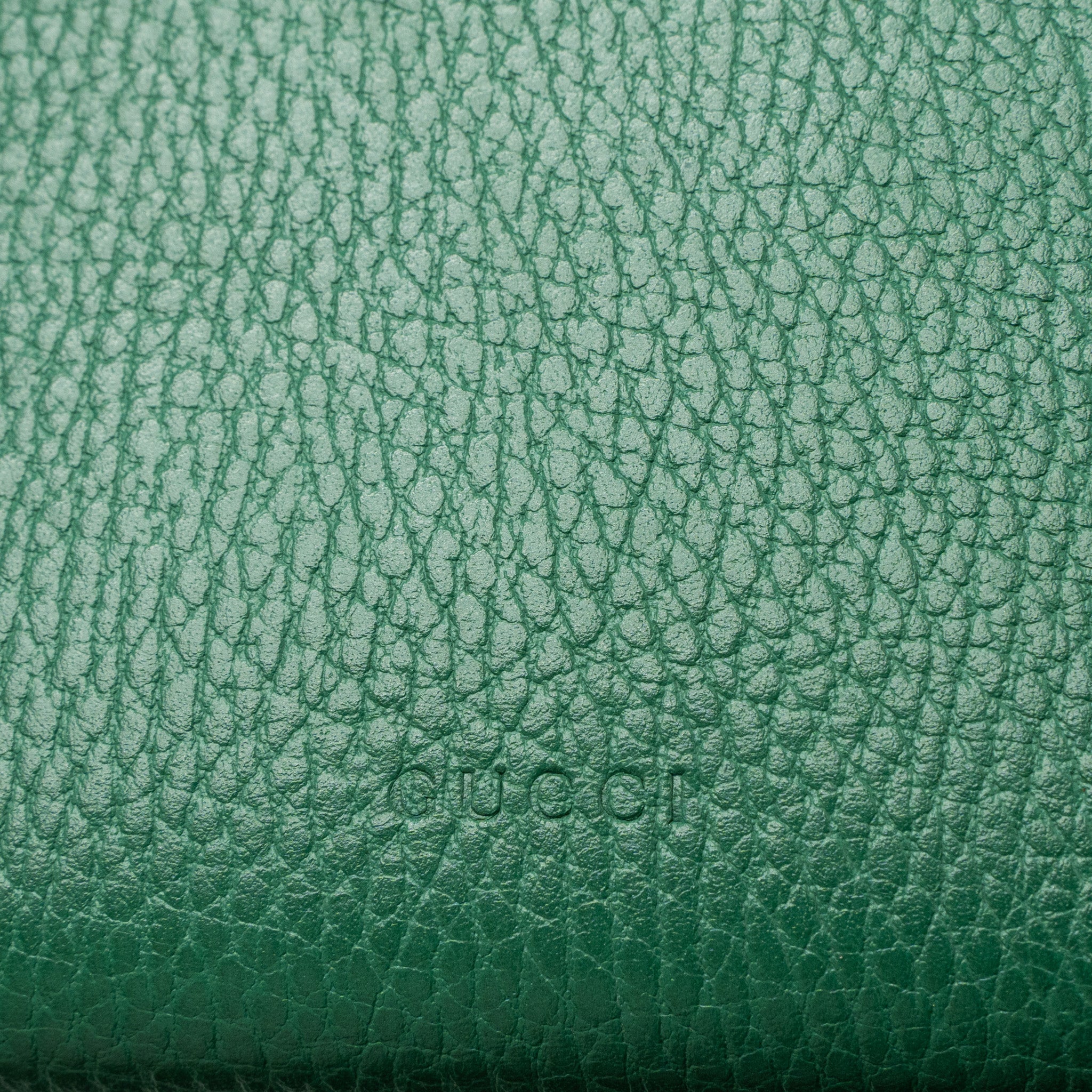 GUCCI DIONYSUS WALLET ON CHAIN CALFSKIN GREEN MULTICOLOUR HARDWARE