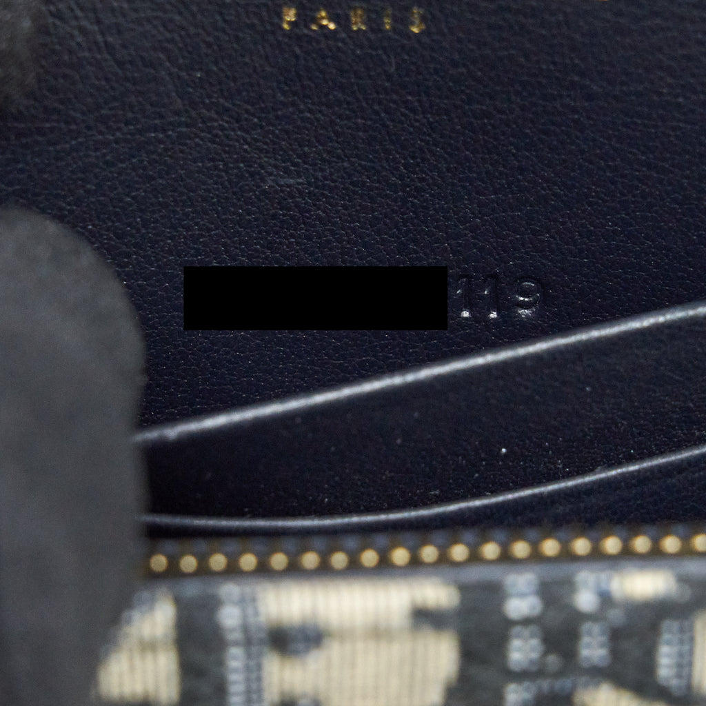 DIOR SADDLE BELT POUCH OBLIQUE GHW