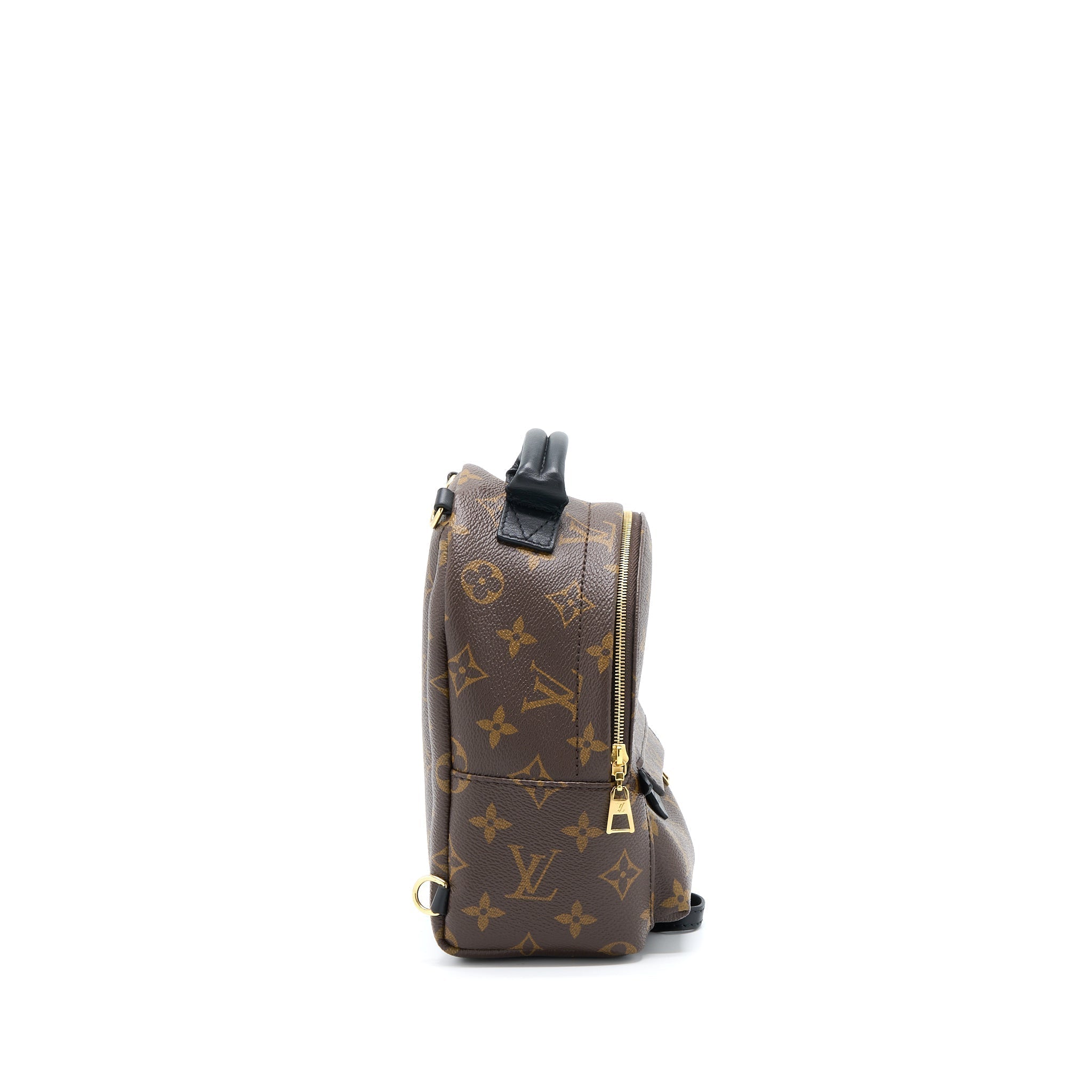 LOUIS VUITTON PALM SPRING MINI BACKPACK MONOGRAM CANVAS GHW
