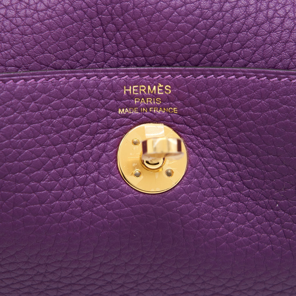 HERMES MINI LINDY CLEMENCE P9 ANEMONE GHW