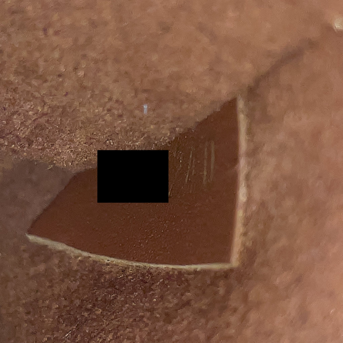 LOUIS VUITTON NEONOE MONOGRAM CANVAS CARAMEL GHW