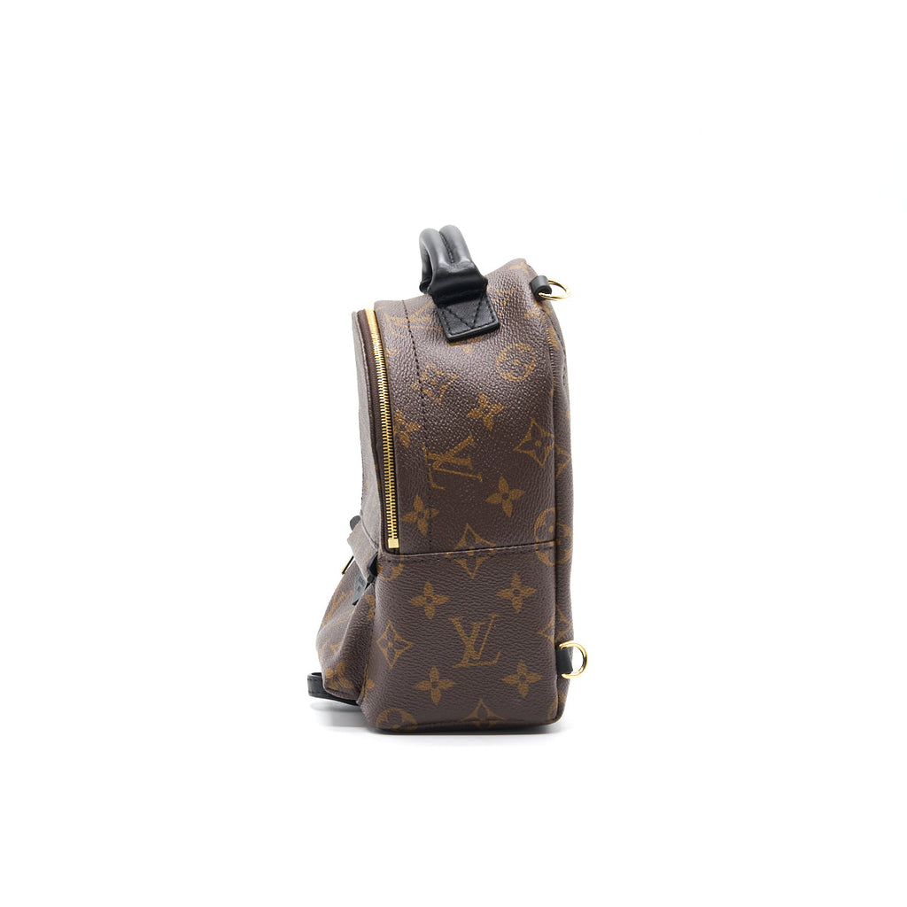 LOUIS VUITTON PALM SPRINGS MINI