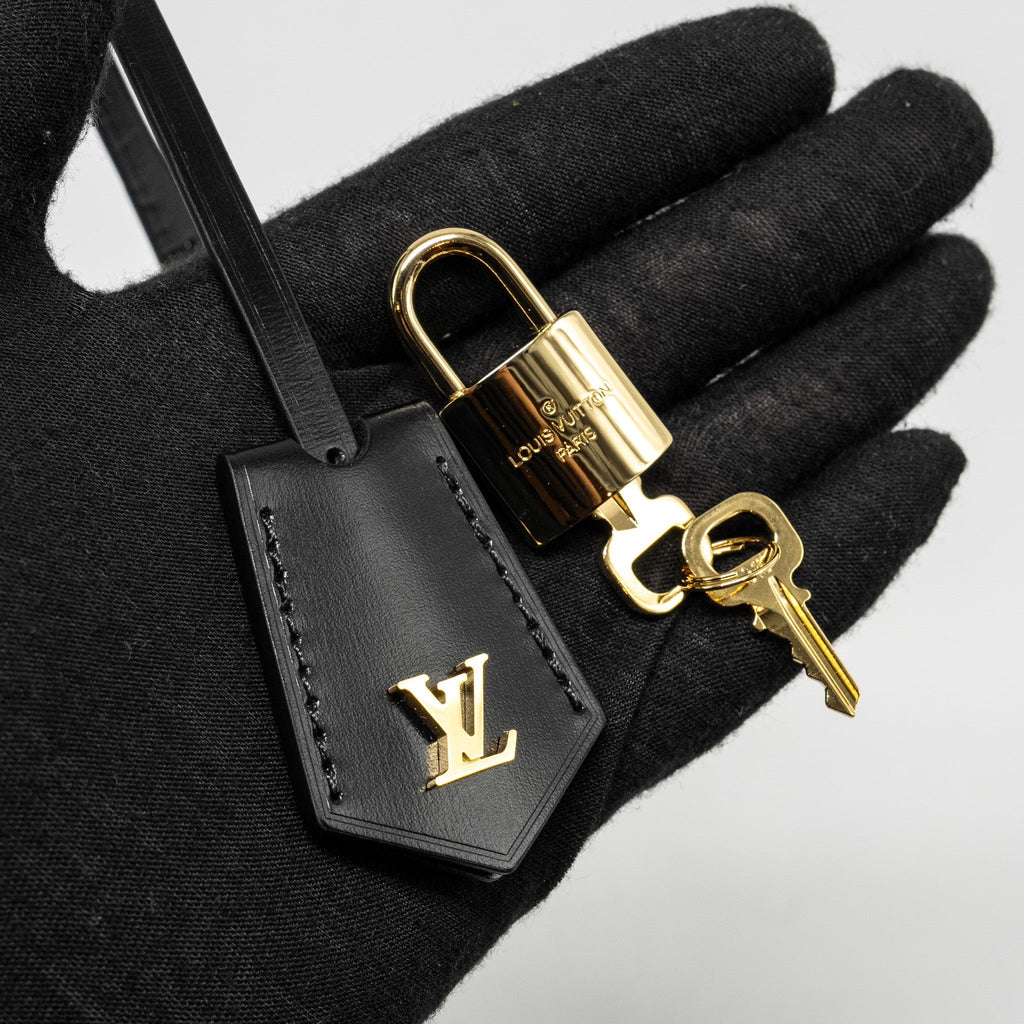 LOUIS VUITTON VANITY CASE PM MONOGRAM REVERSE CANVAS GHW